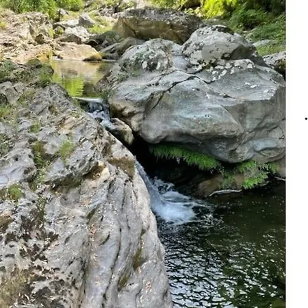 Confort 2-4 Pers 500 M De La Avec Piscine Et Wifi Apartamento *