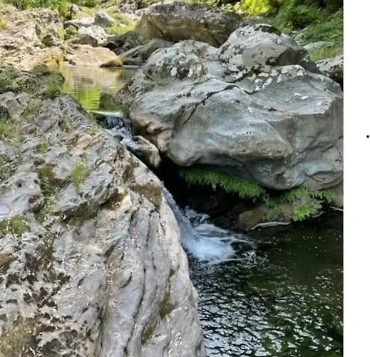 Confort 2-4 Pers 500 M De La Avec Piscine Et Wifi Appartement *